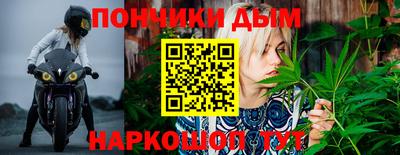 PSILOCYBIN Сланцы