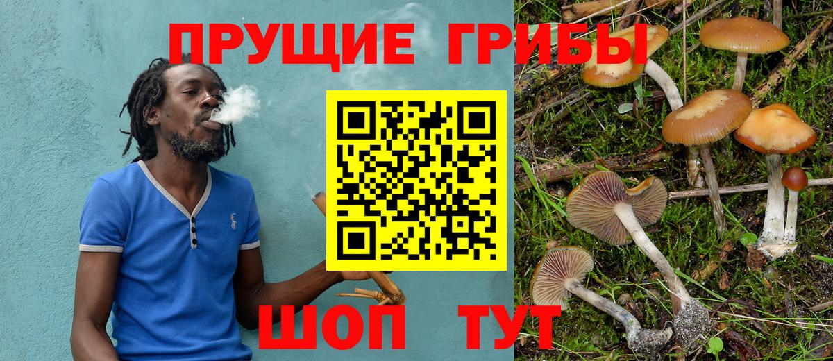 Псилоцибиновые грибы Cubensis  наркотики  Белореченск  Галлюциногенные грибы Magic Shrooms  Вход с VPN 